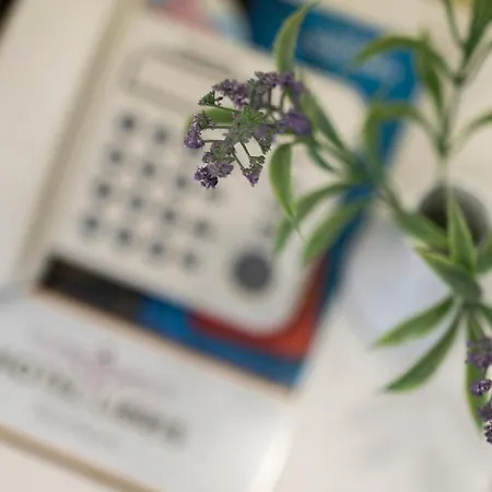 Boutique Libris 3*